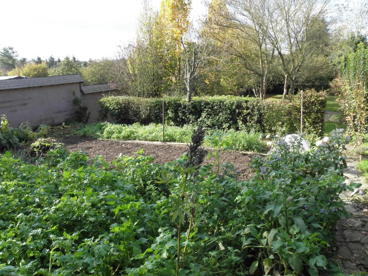 Le Presbytere De Brectouville ภายนอก รูปภาพ